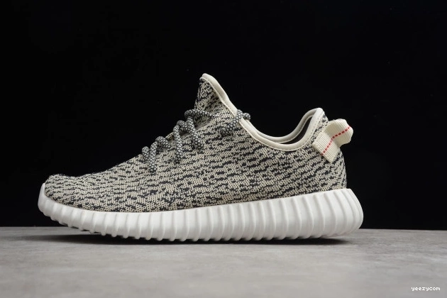 350 Adidas Dove Turtle YEEZY AQ4832 Boost 1001
